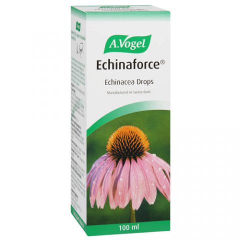 Avogel Echinaforce 100ml | Health Republic